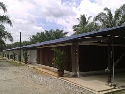 Macam mana, besar tak reban ni? Mega Structure Reban Ayam Sistem Tertutup Skala Besar Maria Firdaus