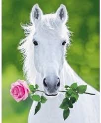 Download free happy birthday glitter graphics to send as orkut scrap and greeting cards on myspace facebook hi5 animated glitter graphics Free Romantic Ecards Romantic Greetings Horse Valentine Cards Printable Horse Card For Valentines Day 2014 Horses Horse Posters Pretty Horses