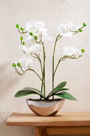 We did not find results for: Buy Artificial Real Touch Orchid In Pot From The Next Uk Online Shop