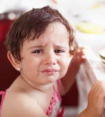 Professional workshop: Feeding with Love and Good Sense VISION Workshop