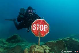Essential Safety Tips for New Divers