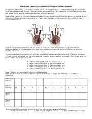 Henry Classification Fingerprint Worksheet 2 Doc The Henry Classification System Of Fingerprint Identification Background The Henry Classification Course Hero