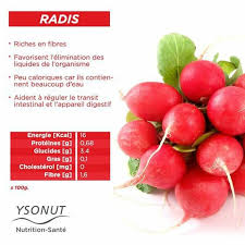Bienfaits Du Radis Nutrition Alimentation Et Sante Aliments Bons Pour La Sante