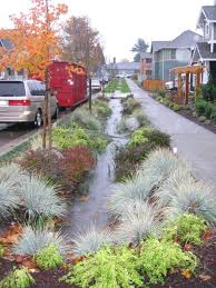 Bioswales As Seen In The Nacto Urban Street Design Guide Click Image For Full Information Guide And Visit T Rain Garden Design Landscape Design Rain Garden