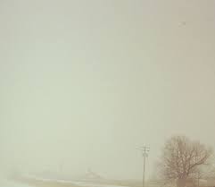 Transformation comes, tempered by the flame: Brown Bird's final, arresting  dispatch