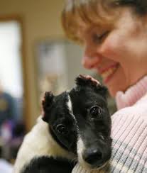 Phoenix's law' would double penalties for animal cruelty