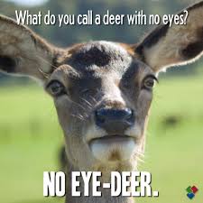 Pin By Tamara Summers On Deer Elk Funny Animal Jokes Animal Jokes Lame Jokes