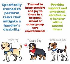 Types Of Service Animals Service Dogs Emotional Support Dog Therapy Dogs