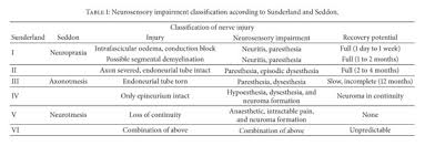 The level and degree of injury are important. Gale Academic Onefile Document The Role Of Current Techniques And Concepts In Peripheral Nerve Repair