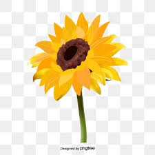 Vector De Flor Do Sol Girassol Amarelo Flores Png E Vetor Para Download Gratuito Desenhos De Flores Fundo Floral Flores Pintadas