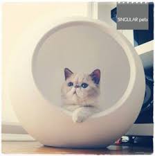 Accessoires Design Et De Luxe Pour Chats Lit Pour Chat Niche Chat Chat