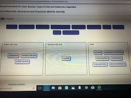 Check spelling or type a new query. Chapter 7 Biol 159 Moon Flashcards Quizlet