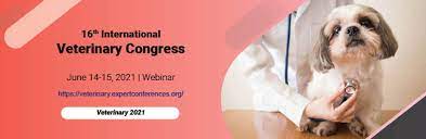 Vetmeasure has compiled a list of ce credit opportunities for early 2021! Veterinary Medicine Conferences Veternary Conferences Meetings 2021
