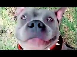 Los mejores edits de series y famosos 5. Tik Tok Musically Gracioso Memes Youtube Musical Ly Gracioso Memes