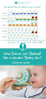 Beikost Einfuhren Fur Babys Ab Dem 5 Monat So Geht Es Beikost Baby Beikost Babynahrung
