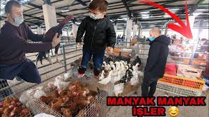 bursa kus pazari tavuk bolumunde gordugunuze inanamiycaksiniz youtube