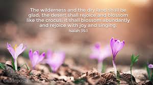 The holy bible tells us that whoever believes in jesus christ has everlasting life. 7 Bible Verses About Spring