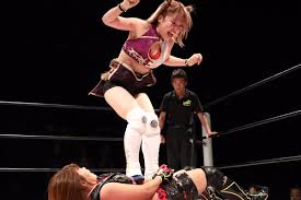 Recently i foolishly let myself get. 2018 Beginner S Guide To Stardom Wrestlers Titles Tournaments
