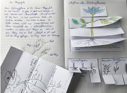 blutenpflanzen biologieunterricht blutenpflanzen bluten pflanzen