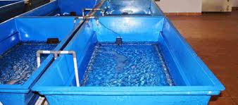 Daftar harga kolam ikan plastik terbaru juli 2021. Harga Terbaru Kolam Fiber Untuk Budidaya Ikan Berbagai Ukuran Daftar Harga Tarif