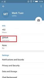 Sepenting apa sebuah username ? Cara Menggunakan Aplikasi Telegram Messenger Di Android