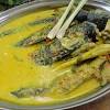 Ini adalah 14 resepi masakan kampung yang sedap giler! Https Encrypted Tbn0 Gstatic Com Images Q Tbn And9gcswijvyql8xp8d8rem0ylsjzhipt Uto Qiebe6 Xzrhqchrq1u Usqp Cau