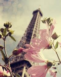 Eiffel Tower Been There Twice Can T Believe I Can Say That Springtime In Paris Paris Photos Eiffel Tower