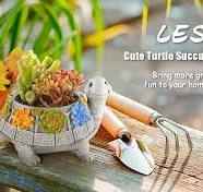 Amazon.com: LESES Macetas suculentas de tortuga para plantas ...