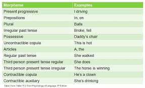 Grammatical Morphemes Acquisition Of Morphology And Grammar