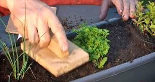 Ces jardinières permettent de cultiver légumes et plantes aromatiques, chacun dans un petit espace. Les Quatres Saisons D Une Jardiniere Potager D Interieur