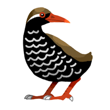 ヤンバルクイナやハイビスカスはもちろん 沖縄のイラストなら何でもそろう無料の素材集 かわいい系 キレイ系 紅型風などタッチも選べて 使いやすいイラストが盛りだくさん 個人利用 商用利用ok 加工もok ヤンバルクイナ 沖縄 イラスト シーサー イラスト