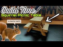 6 How To Build A Squirrel Size Picnic Table Meet Jerry The Adorable Squirrel Youtube In 2020 Garden Table Plans Picnic Table Garden Table