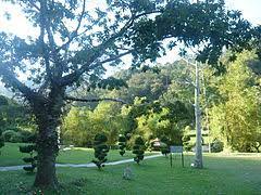 Plan to visit penang botanical gardens, malaysia. Penang Botanic Gardens Wikipedia