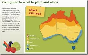Vegetable Growing Guide For Australia Little Farm In The City