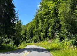 Fun and Fascinating Things to do Near Allegheny National Forest