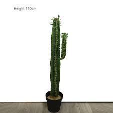 Por estos motivos, ya seas de esas personas que tienen el 'don' de matar a todas las plantas o. Artificial Al Aire Libre De Plastico De Plantas De Cactus Saguaro Para La Decoracion De La Casa Buy Planta De Cactus De Navidad Plantas Artificiales De Plastico De Cactus Cactus De Plastico De