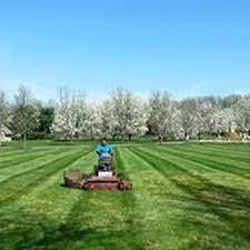 We did not find results for: M J Gonzalez Landscaping 30 Photos Landscaping 1801 Laurel Rd Lindenwold Nj Phone Number