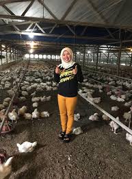 Walaupun berzaman lagi la nak sampainya tehehhe. Siapa Kata Anak Kampung Tak Boleh Maju Pasangan Ini Bina Banglo Impian Cash Dengan Hasil Titik Peluh Berniaga Ayam Proses Segar The Reporter