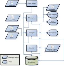 flow chart of data import and export ecompagt stores