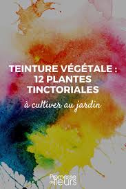 Solutions en images de 4 images 1 mot 7 lettres. 12 Plantes Tinctoriales Pour Teintures Vegetales A Cultiver Au Jardin
