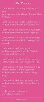I Can Promise Wedding Quotes Funny Wedding Vows To Husband Vows Quotes