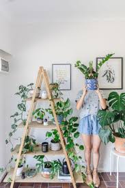Indoor Plant Guide 5 Beginner Plants You Can T Kill Connie And Luna Plant Decor Indoor Plant Decor House Plants Indoor