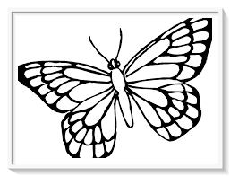 Los Mas Lindos Dibujos De Mariposas Para Colorear Y Pintar A Todo Color Imagenes Prontas Para De Butterfly Coloring Page Butterfly Outline Butterfly Printable