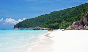 Aktiviti seperti mandi laut dan berenang merupakan antara aktiviti utama yang boelh dilakukan jika. Redang Wikitravel