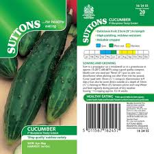 Grow cucumbers from seed (a complete step by step guide)in today's project diary video i will teach you how to grow cucumbers from seeds and show. Cucumber Seeds F1 Burpless Tasty Green Suttons