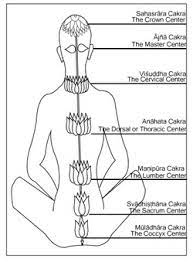 Kriya yoga helps us clear toxins on the cellular level and activate our energy in a way that supports the optimal function of our brain as well as our entire body. Kriya Yoga Cheap Online