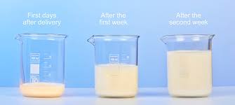 (to keep up your supply, try pumping another two to five minutes after you've collected the last drops of milk.) if you can't put aside 15 to 20 minutes at every session — or are having a busy day — that's okay. Expressing Milk For The Baby