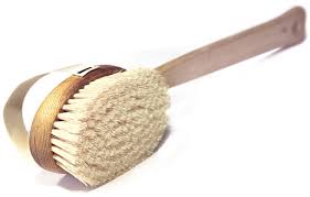 The description of cactus bristles bought this brush after seeing on tv the benefits of body brushing. Dry Brushing How To Dry Brush Your Skin Goop