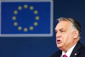 They question Hungary's ability to preside over the EU