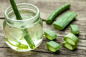 Und im handel gibt es eine große auswahl an. Schone Und Leichte Rezepte Wie Sie Aloe Vera Gel Selber Machen